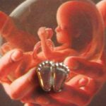 Dr. Russell Sacco took a photograph that continues to fuel the Pro-Life Movement to this day. Reed Ferguson takes a look at his fascinating story.