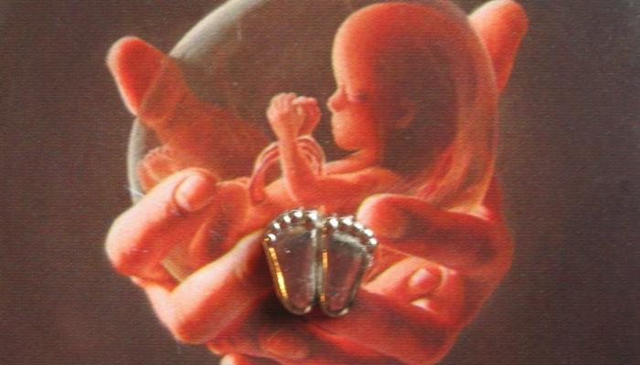 Dr. Russell Sacco took a photograph that continues to fuel the Pro-Life Movement to this day. Reed Ferguson takes a look at his fascinating story.